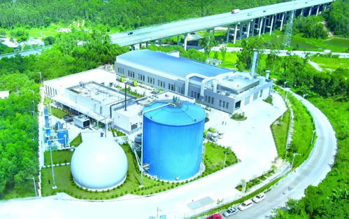 江門市區(qū)餐廚垃圾收運(yùn)處置機(jī)制詳解 新聞發(fā)布會全回顧