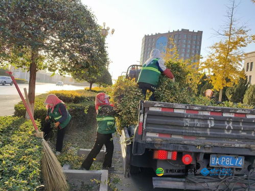 甘州區(qū)園林綠化中心秋季修剪與生活垃圾管理并行，提升城市環(huán)境品質(zhì)